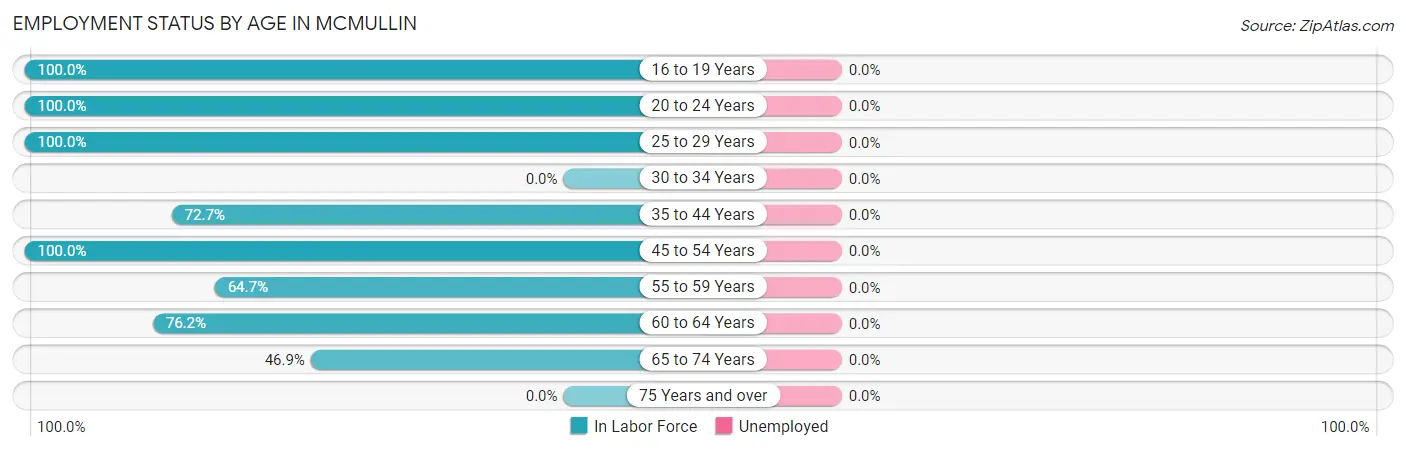 Employment Status by Age in McMullin