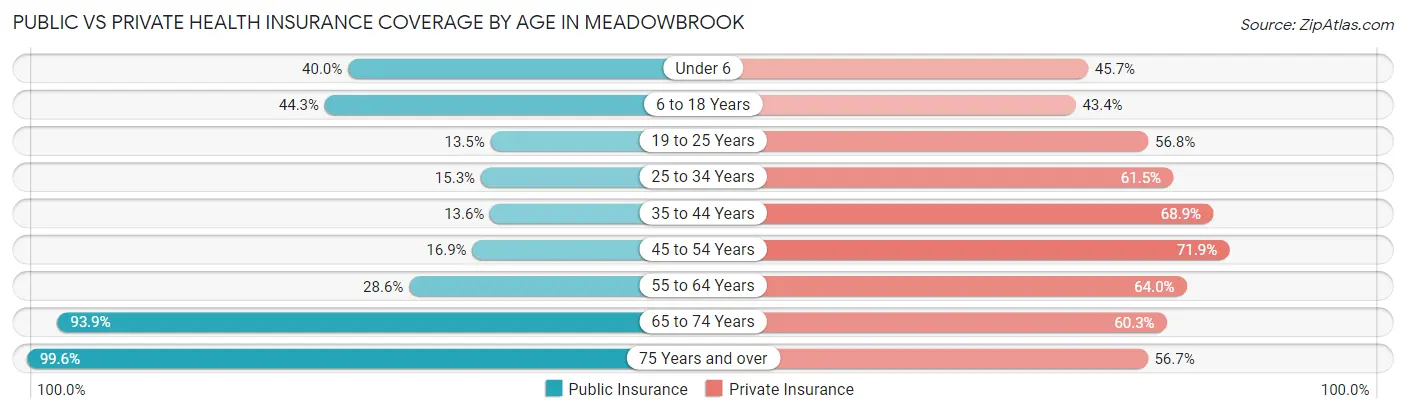 Public vs Private Health Insurance Coverage by Age in Meadowbrook