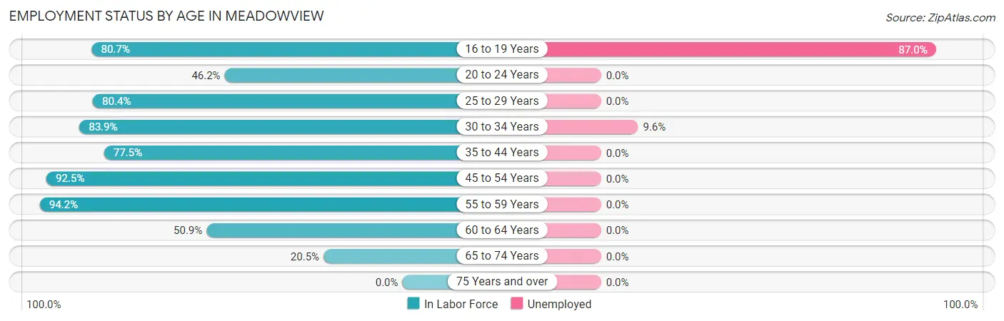 Employment Status by Age in Meadowview