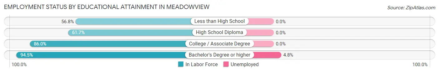 Employment Status by Educational Attainment in Meadowview