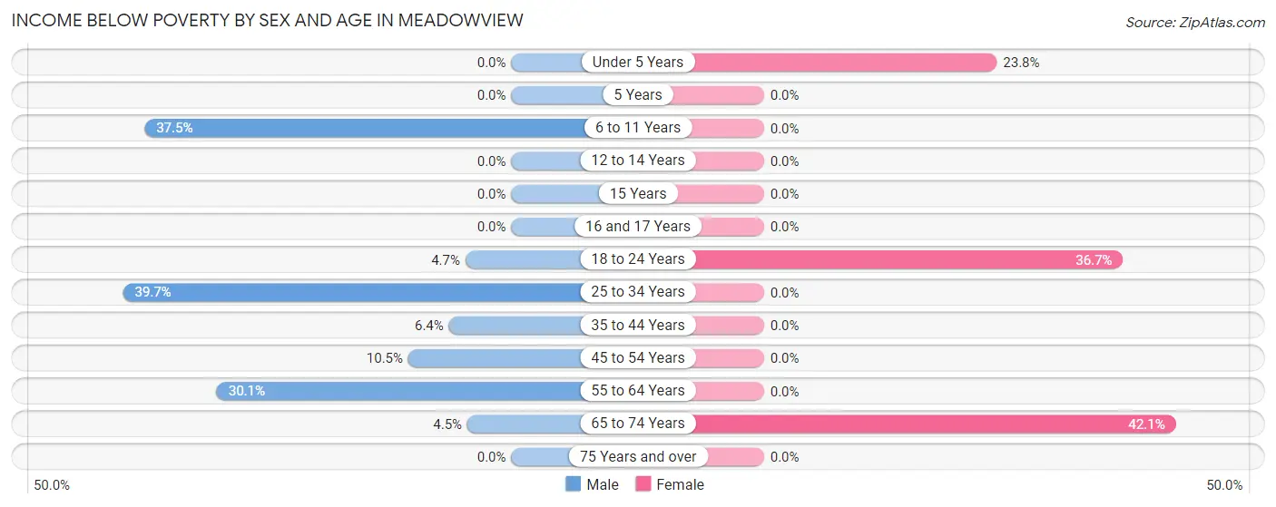 Income Below Poverty by Sex and Age in Meadowview