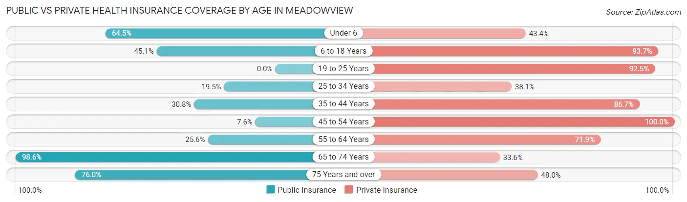 Public vs Private Health Insurance Coverage by Age in Meadowview