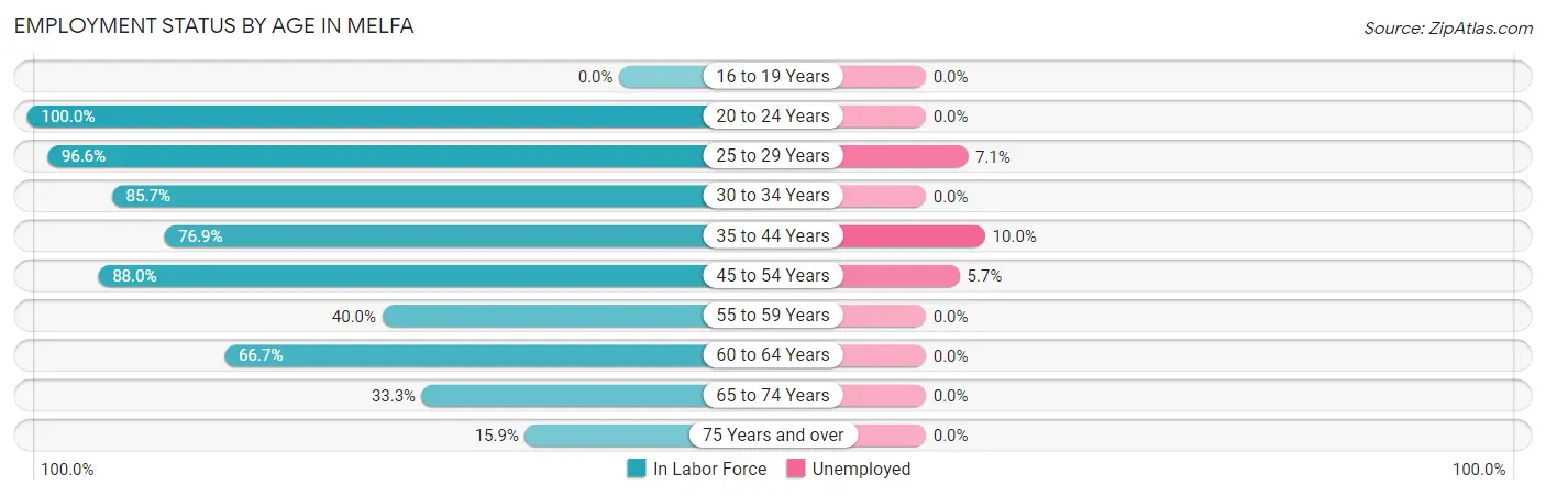 Employment Status by Age in Melfa