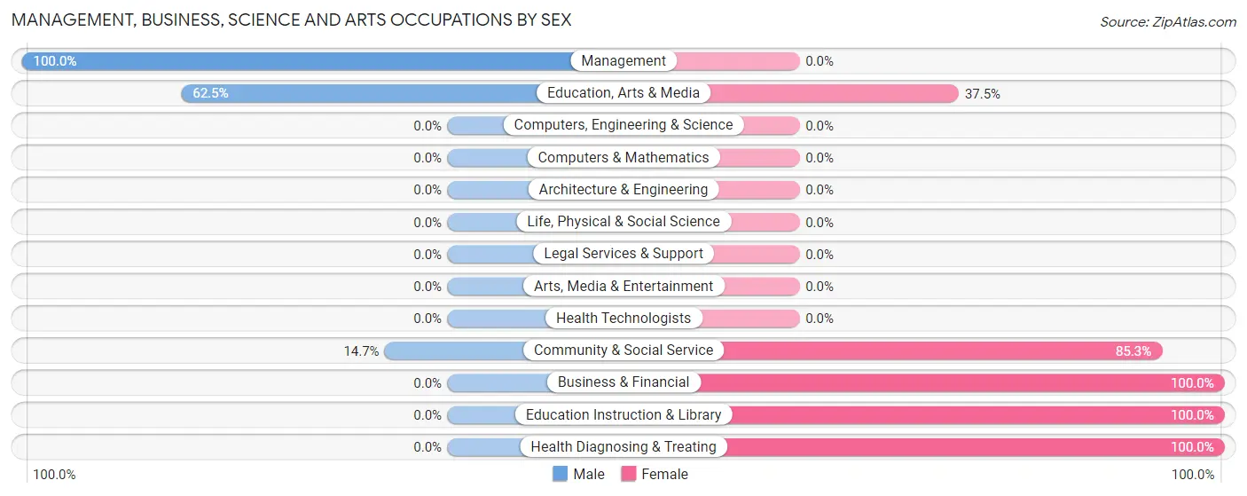 Management, Business, Science and Arts Occupations by Sex in Melfa