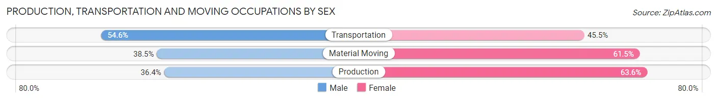 Production, Transportation and Moving Occupations by Sex in Melfa