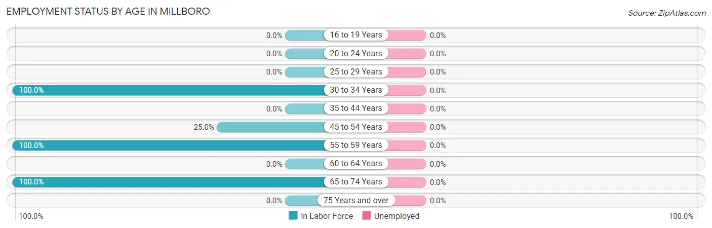 Employment Status by Age in Millboro