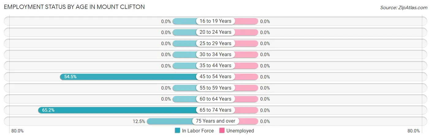 Employment Status by Age in Mount Clifton
