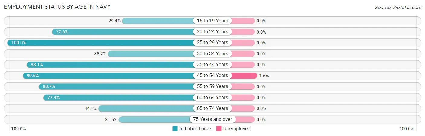 Employment Status by Age in Navy