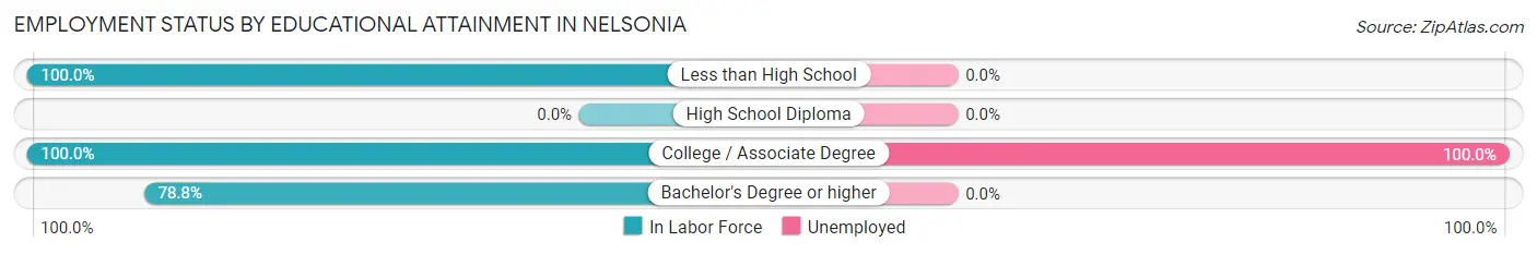 Employment Status by Educational Attainment in Nelsonia