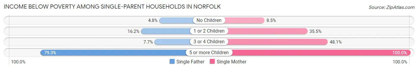 Income Below Poverty Among Single-Parent Households in Norfolk