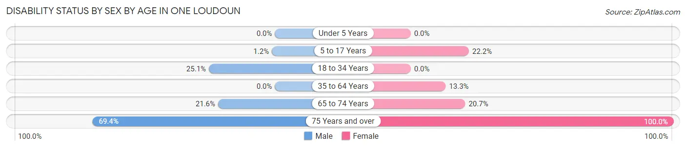 Disability Status by Sex by Age in One Loudoun