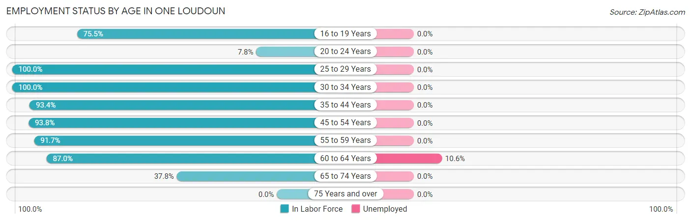 Employment Status by Age in One Loudoun