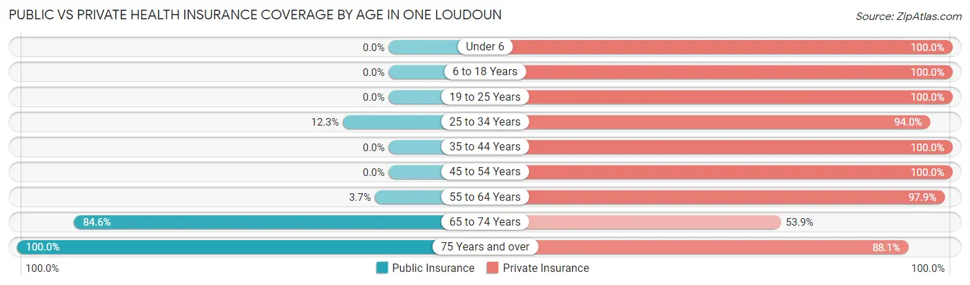 Public vs Private Health Insurance Coverage by Age in One Loudoun