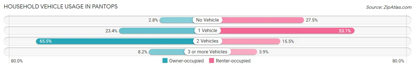 Household Vehicle Usage in Pantops