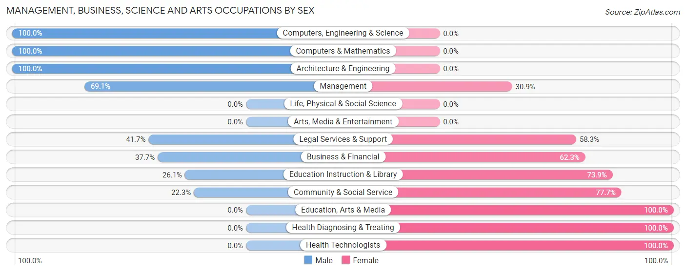 Management, Business, Science and Arts Occupations by Sex in Pearisburg