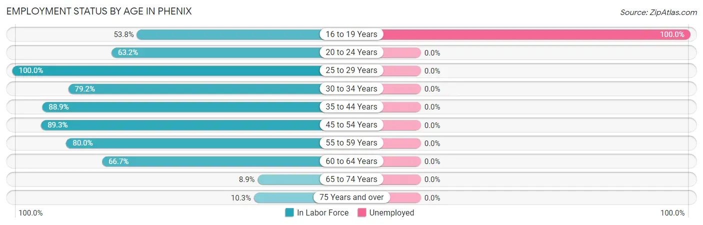 Employment Status by Age in Phenix