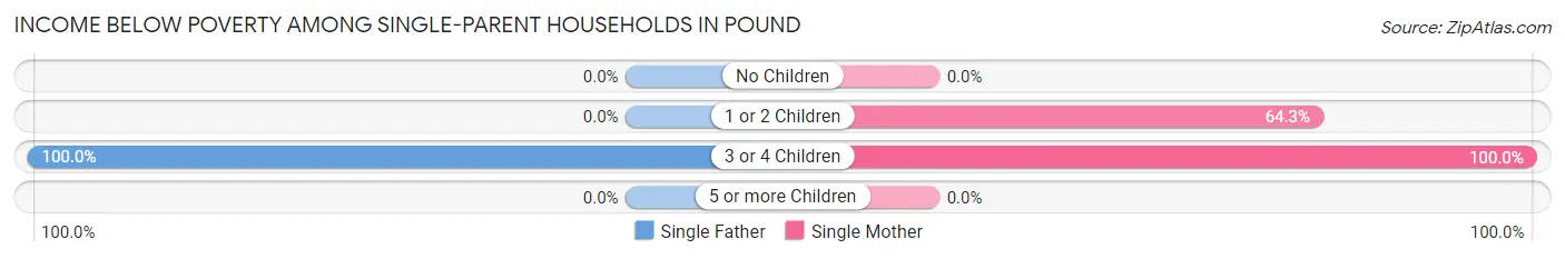 Income Below Poverty Among Single-Parent Households in Pound