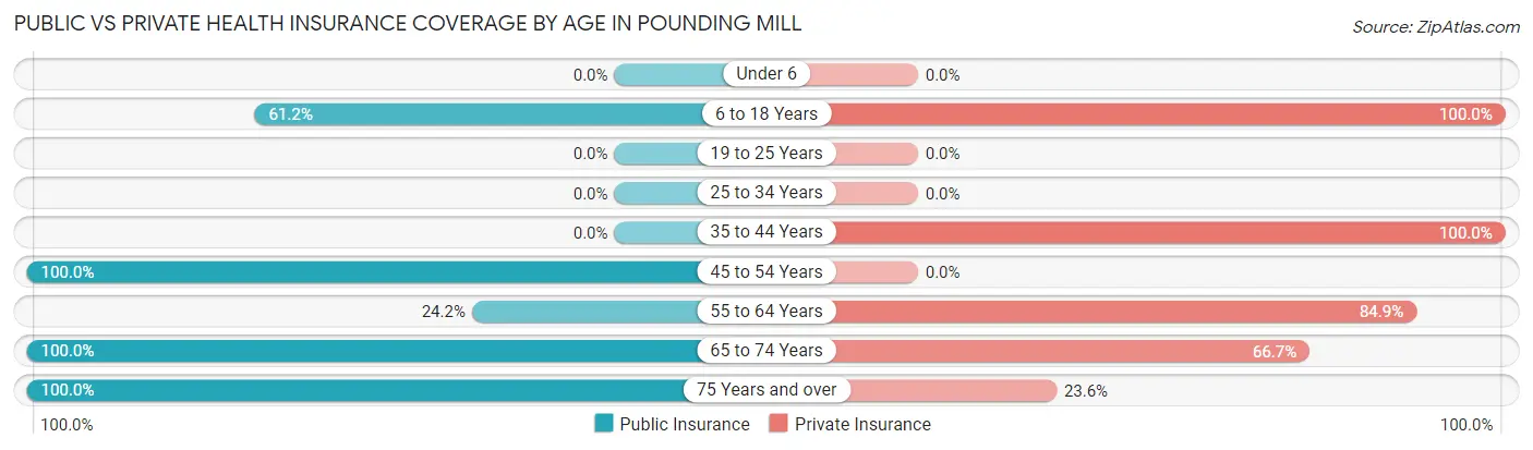 Public vs Private Health Insurance Coverage by Age in Pounding Mill