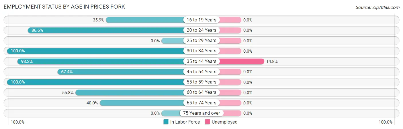 Employment Status by Age in Prices Fork