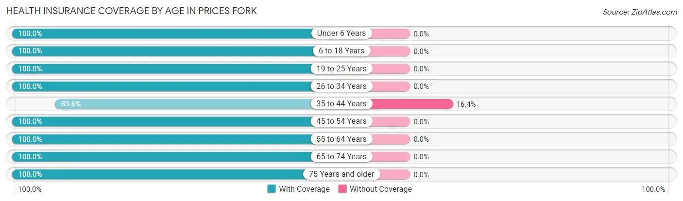 Health Insurance Coverage by Age in Prices Fork