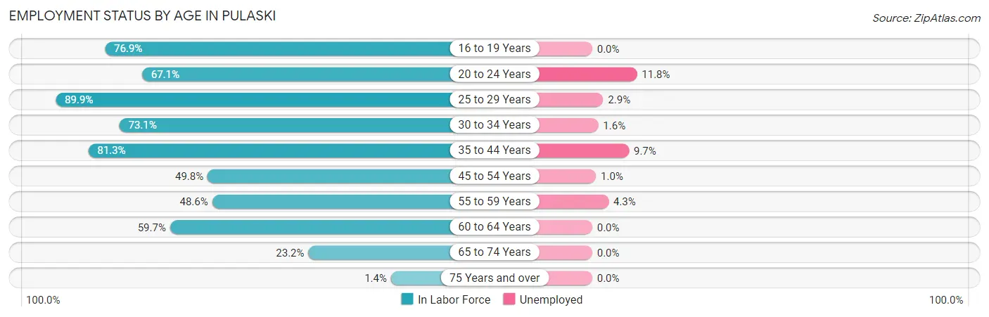 Employment Status by Age in Pulaski