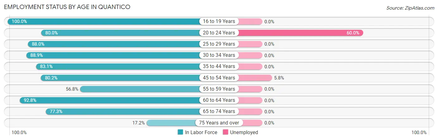 Employment Status by Age in Quantico
