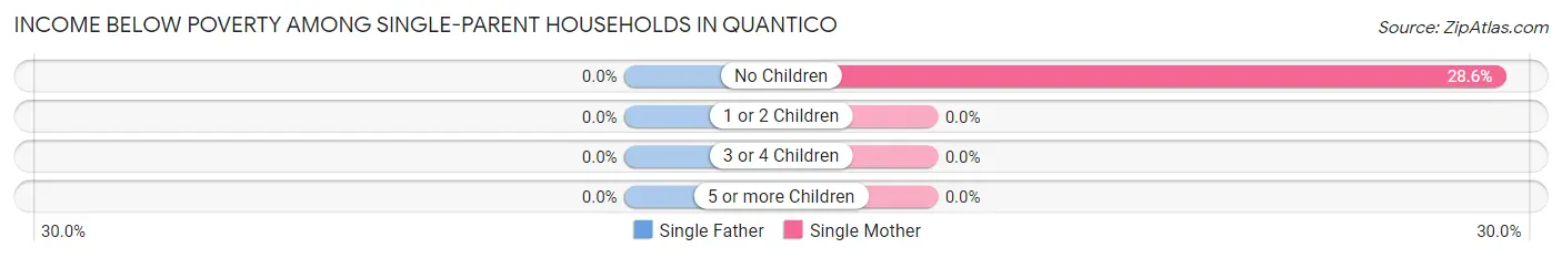 Income Below Poverty Among Single-Parent Households in Quantico