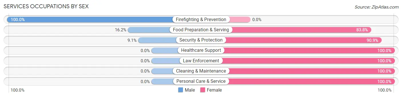 Services Occupations by Sex in Rio