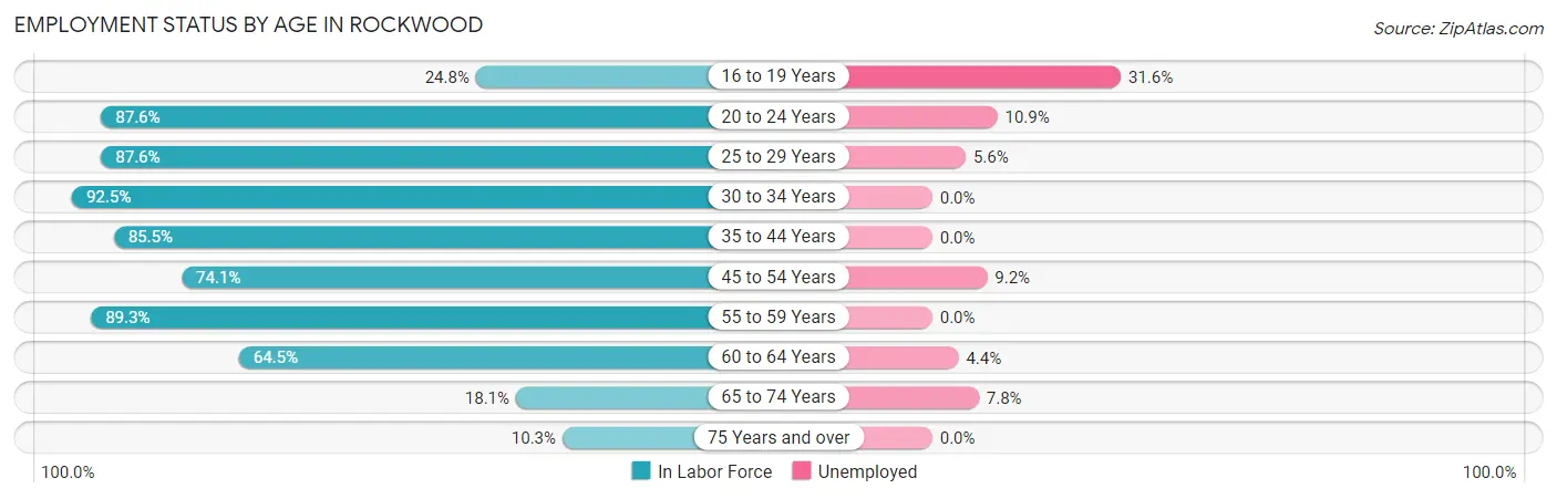 Employment Status by Age in Rockwood