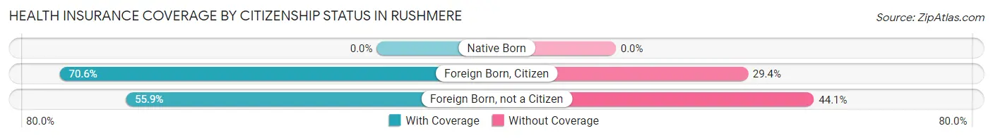 Health Insurance Coverage by Citizenship Status in Rushmere