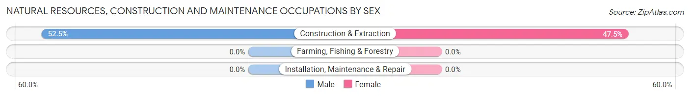 Natural Resources, Construction and Maintenance Occupations by Sex in Rushmere