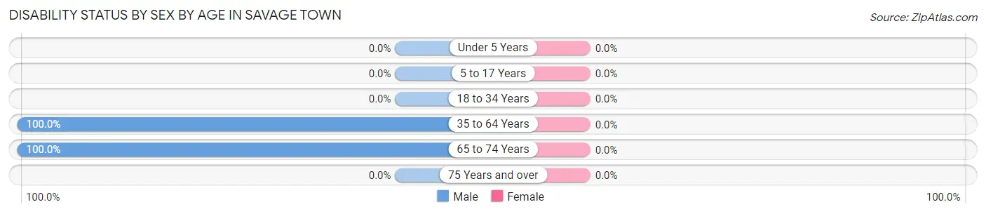 Disability Status by Sex by Age in Savage Town