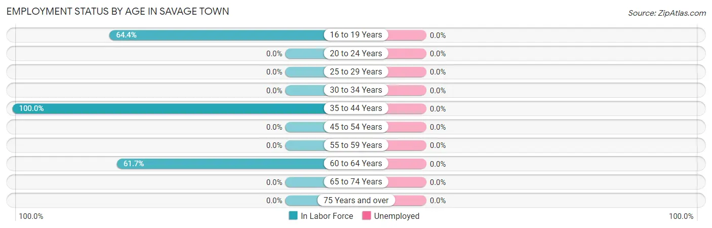 Employment Status by Age in Savage Town