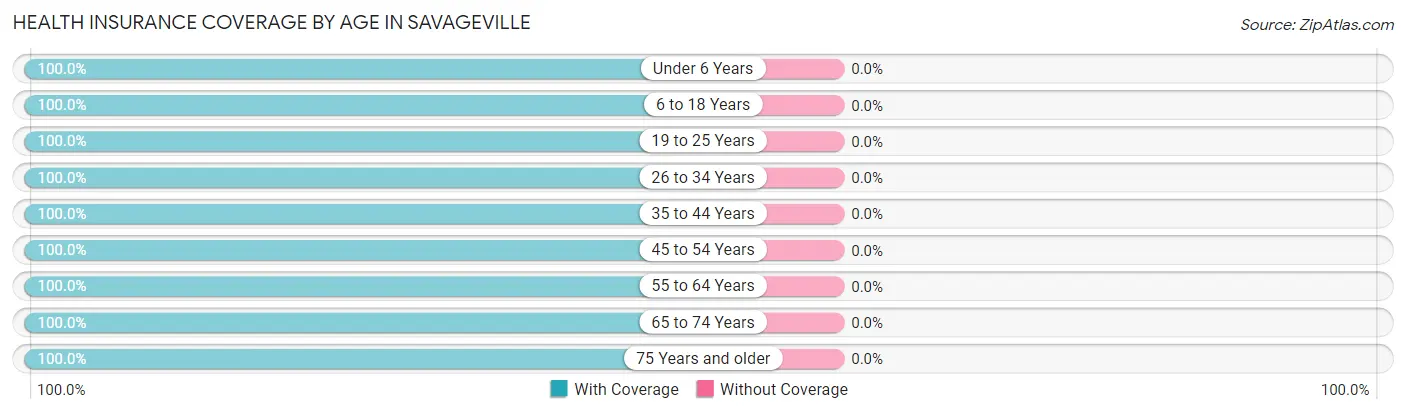 Health Insurance Coverage by Age in Savageville