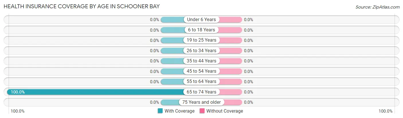 Health Insurance Coverage by Age in Schooner Bay