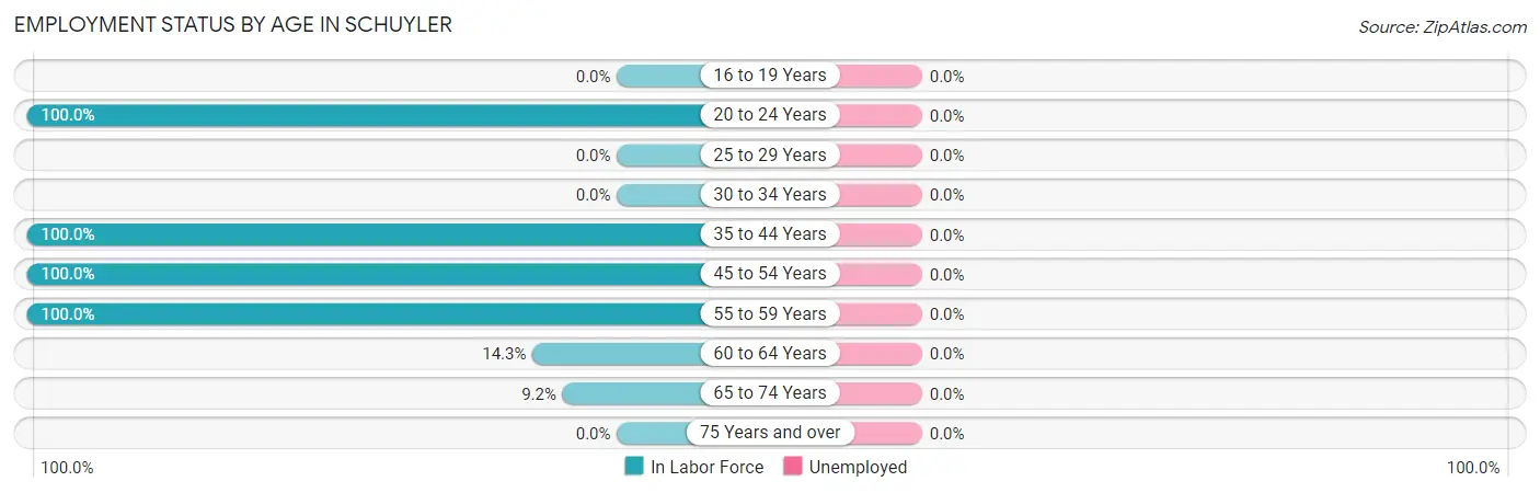 Employment Status by Age in Schuyler