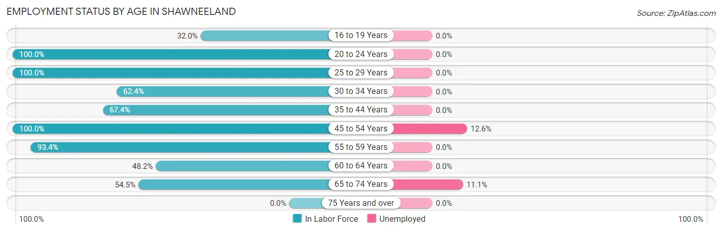 Employment Status by Age in Shawneeland
