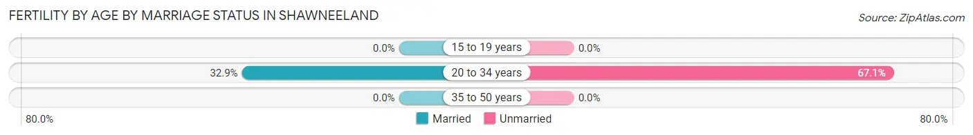 Female Fertility by Age by Marriage Status in Shawneeland
