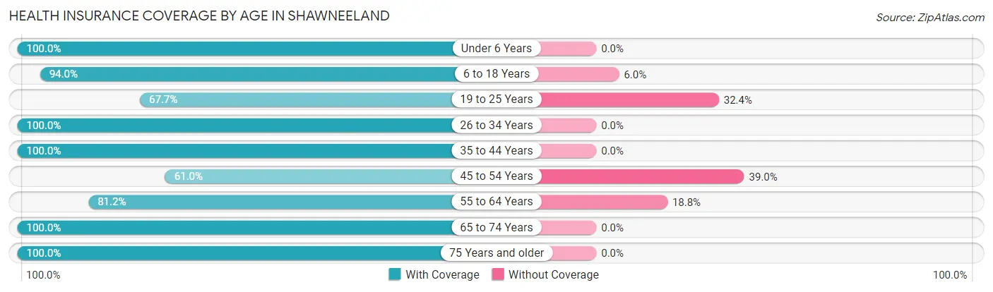 Health Insurance Coverage by Age in Shawneeland