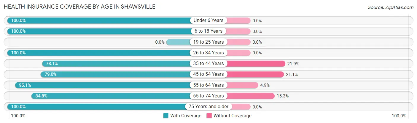 Health Insurance Coverage by Age in Shawsville