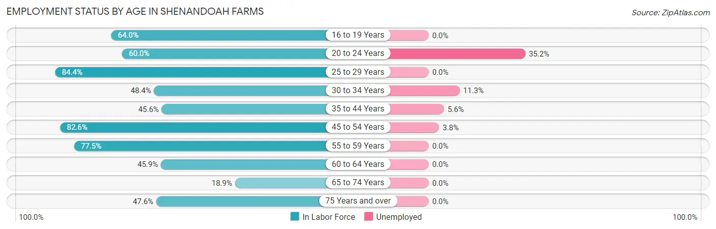 Employment Status by Age in Shenandoah Farms