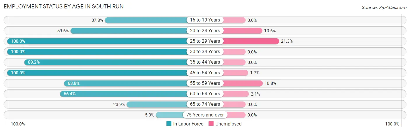Employment Status by Age in South Run