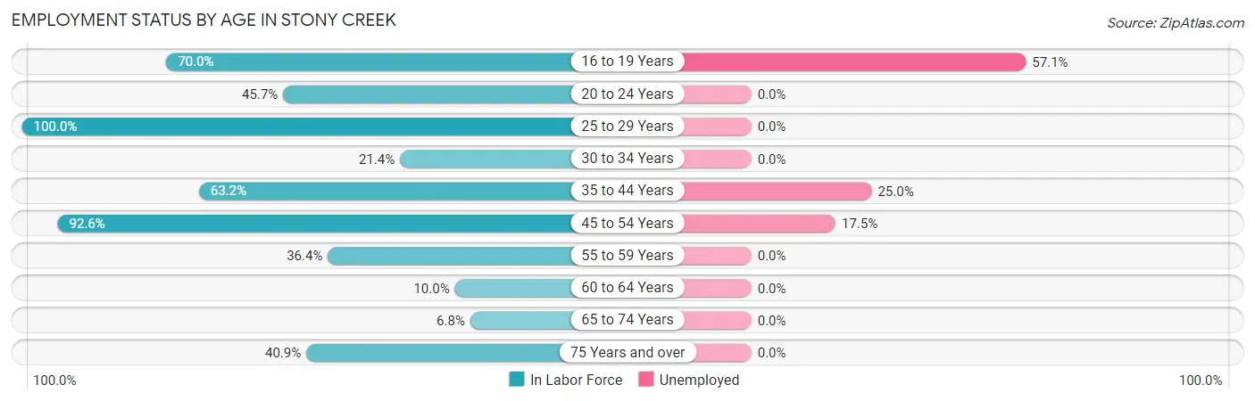 Employment Status by Age in Stony Creek