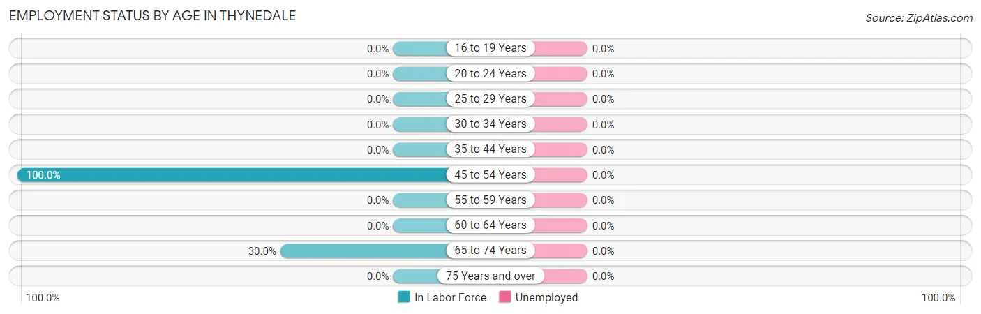 Employment Status by Age in Thynedale