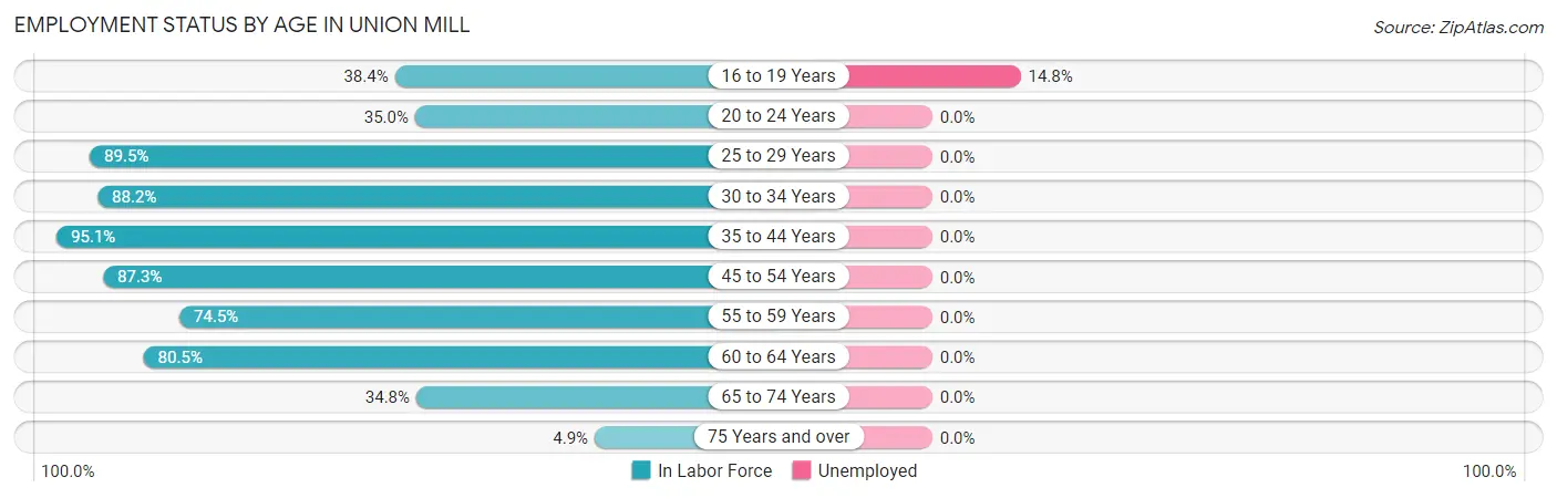 Employment Status by Age in Union Mill