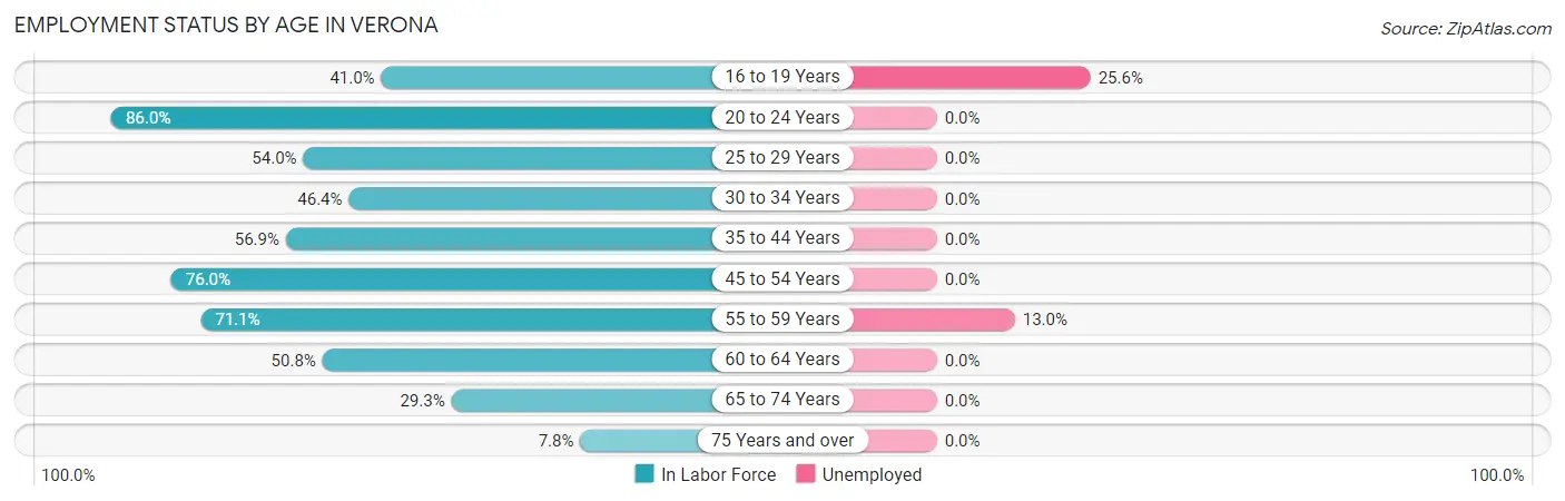 Employment Status by Age in Verona