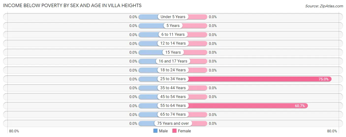 Income Below Poverty by Sex and Age in Villa Heights
