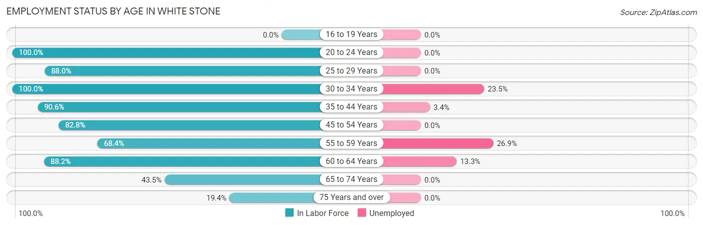 Employment Status by Age in White Stone