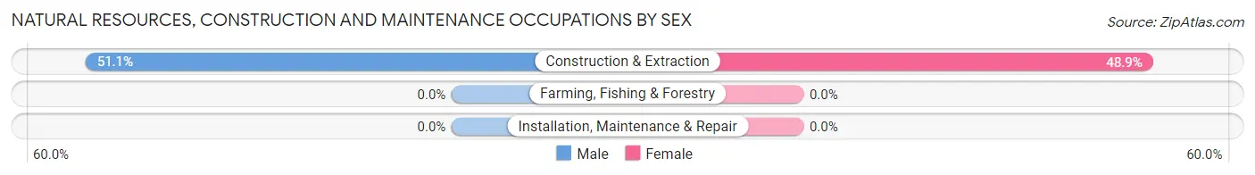 Natural Resources, Construction and Maintenance Occupations by Sex in Willis Wharf