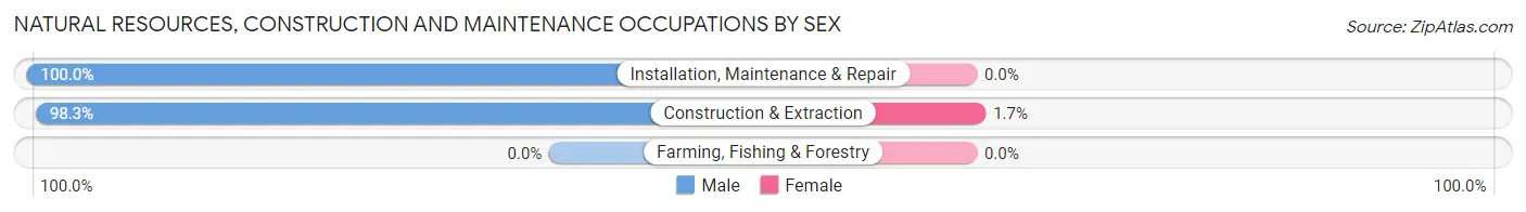 Natural Resources, Construction and Maintenance Occupations by Sex in Woodlawn CDP Fairfax County